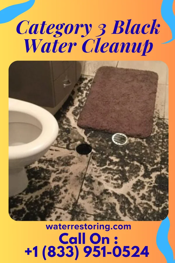 Category 3 Black Water Cleanup in Gladstone, OR